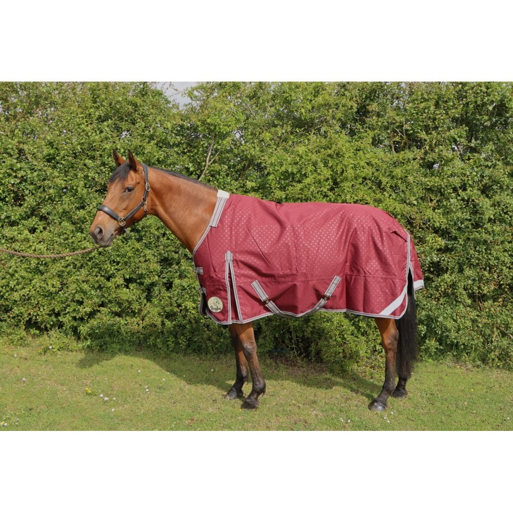 100g Standard V2 Turnout Rug - Image 10