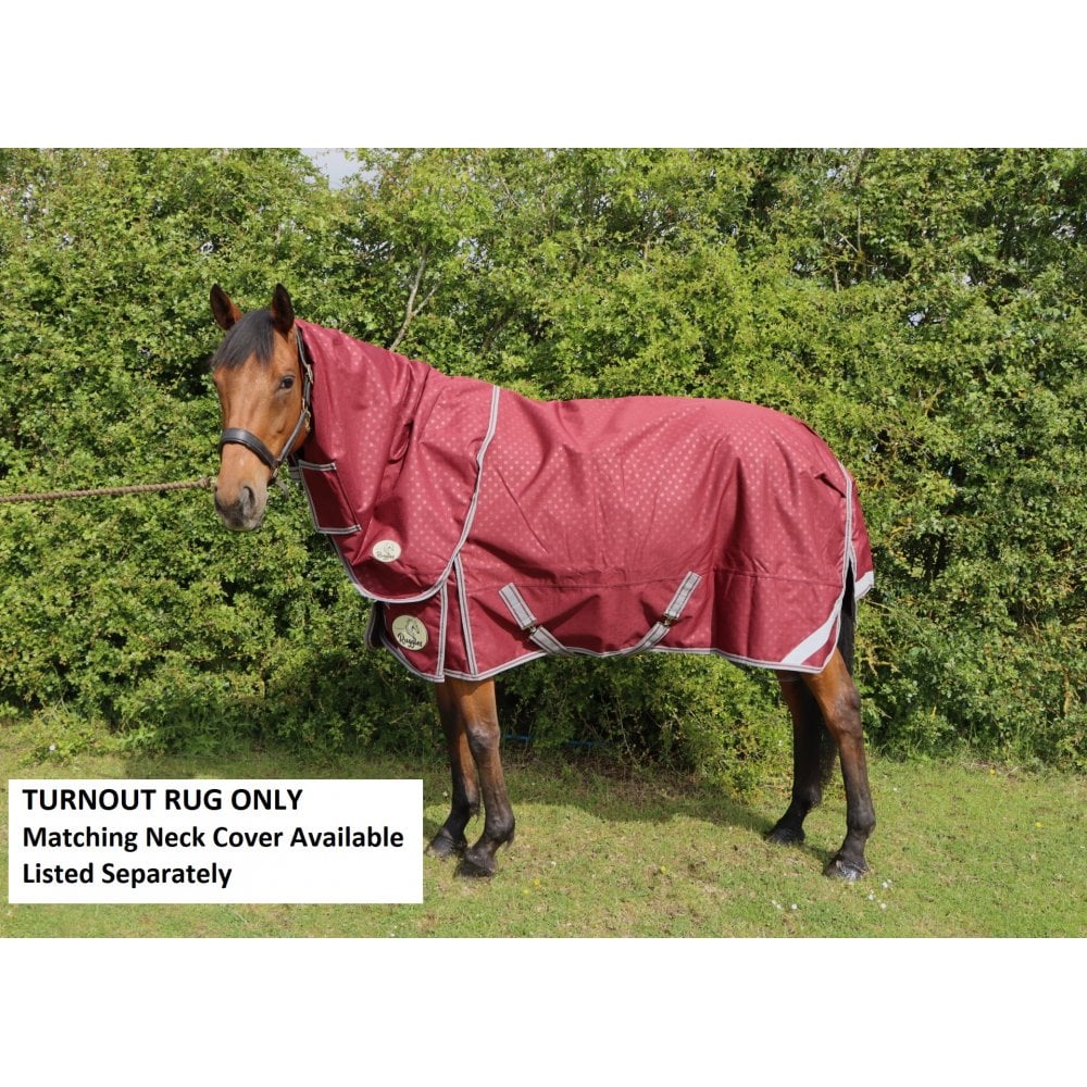100g Standard V2 Turnout Rug - Image 11