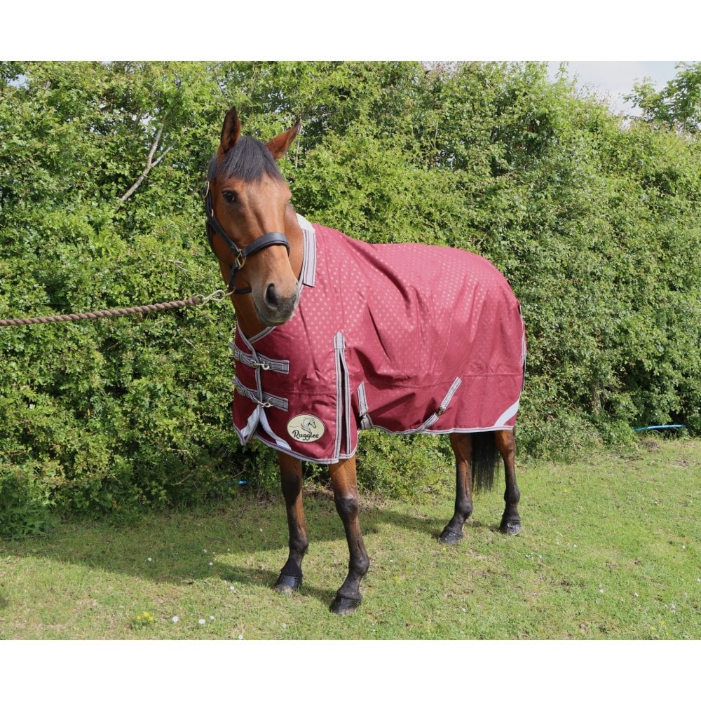 100g Standard V2 Turnout Rug - Image 6