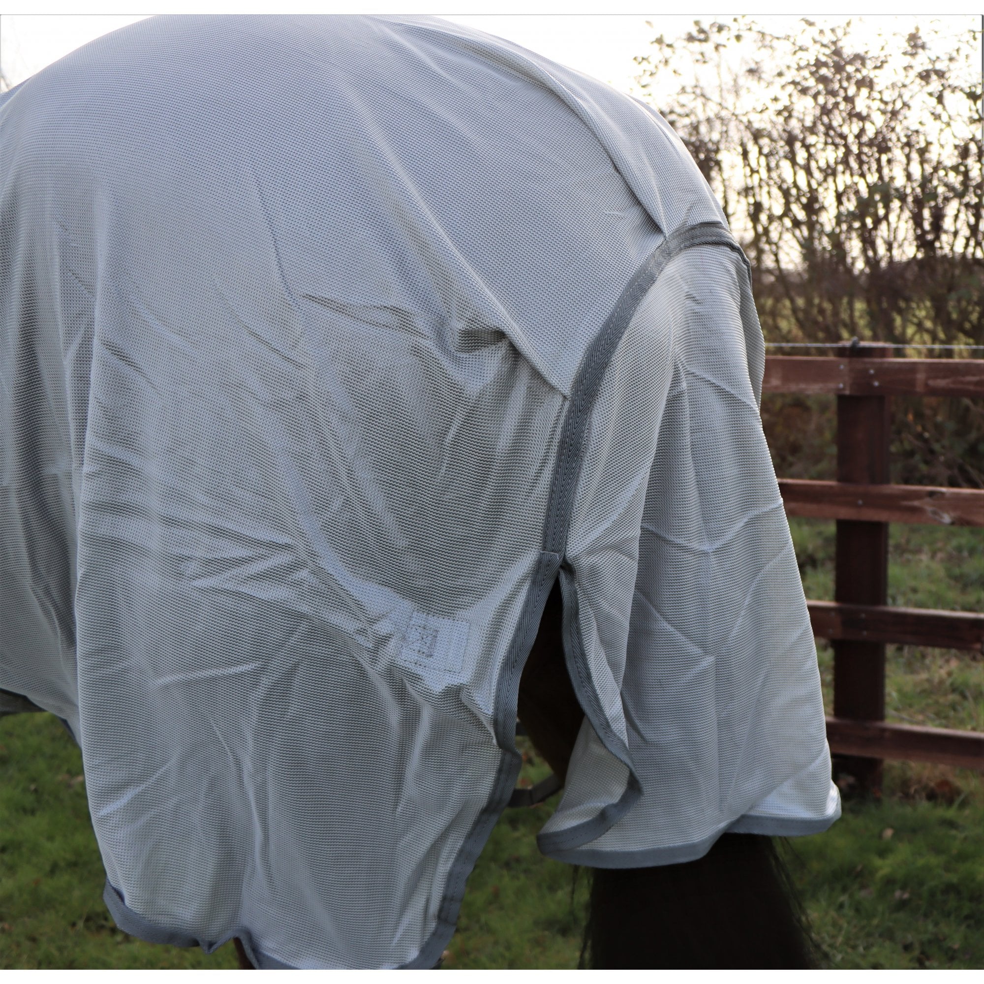 Combo Fly Rug With Belly Band And Ear Holes - Image 4