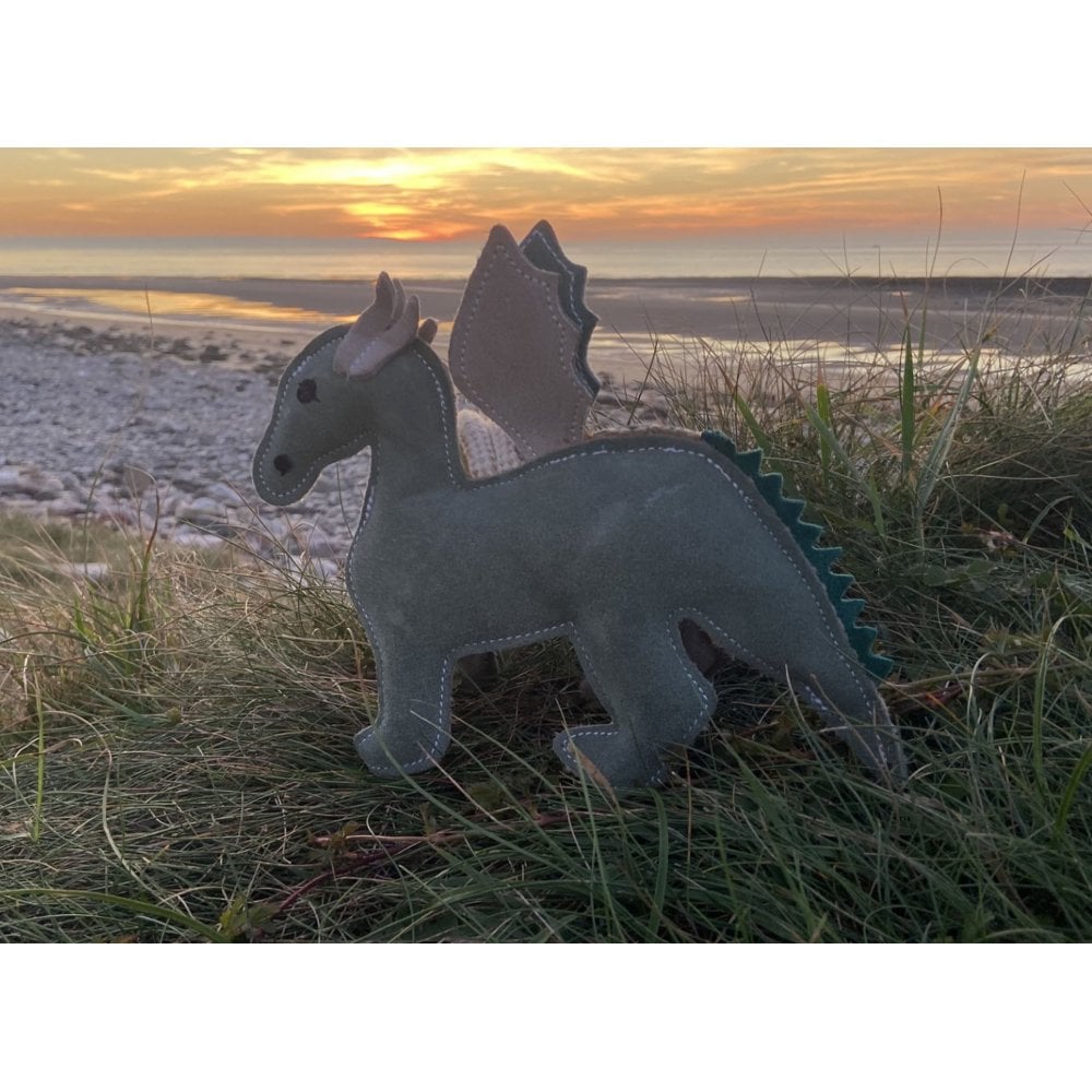 Dog Toy - Dinosaur - Image 2