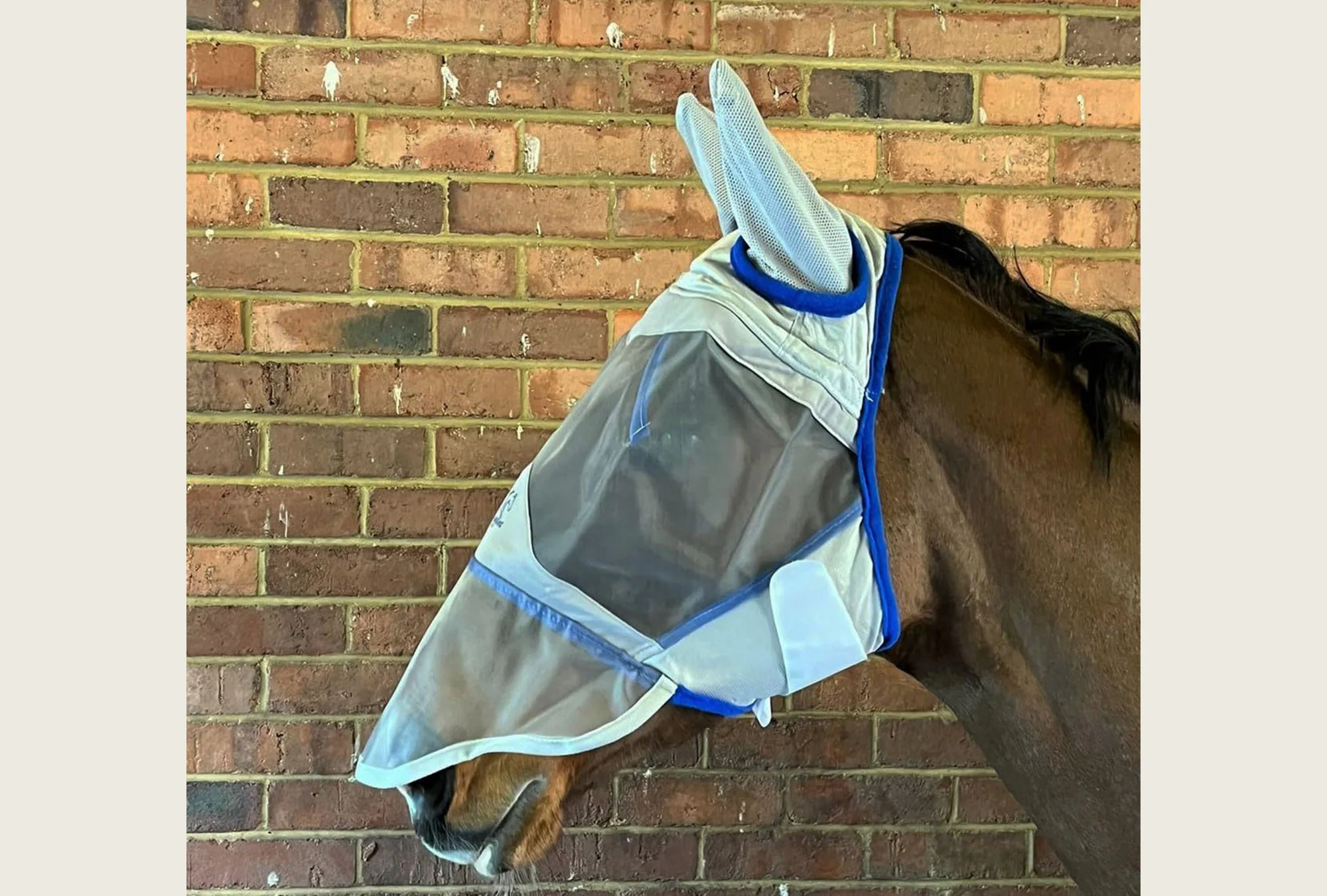 Fly Mask With Ears With Or Without Nose Guard - Image 2
