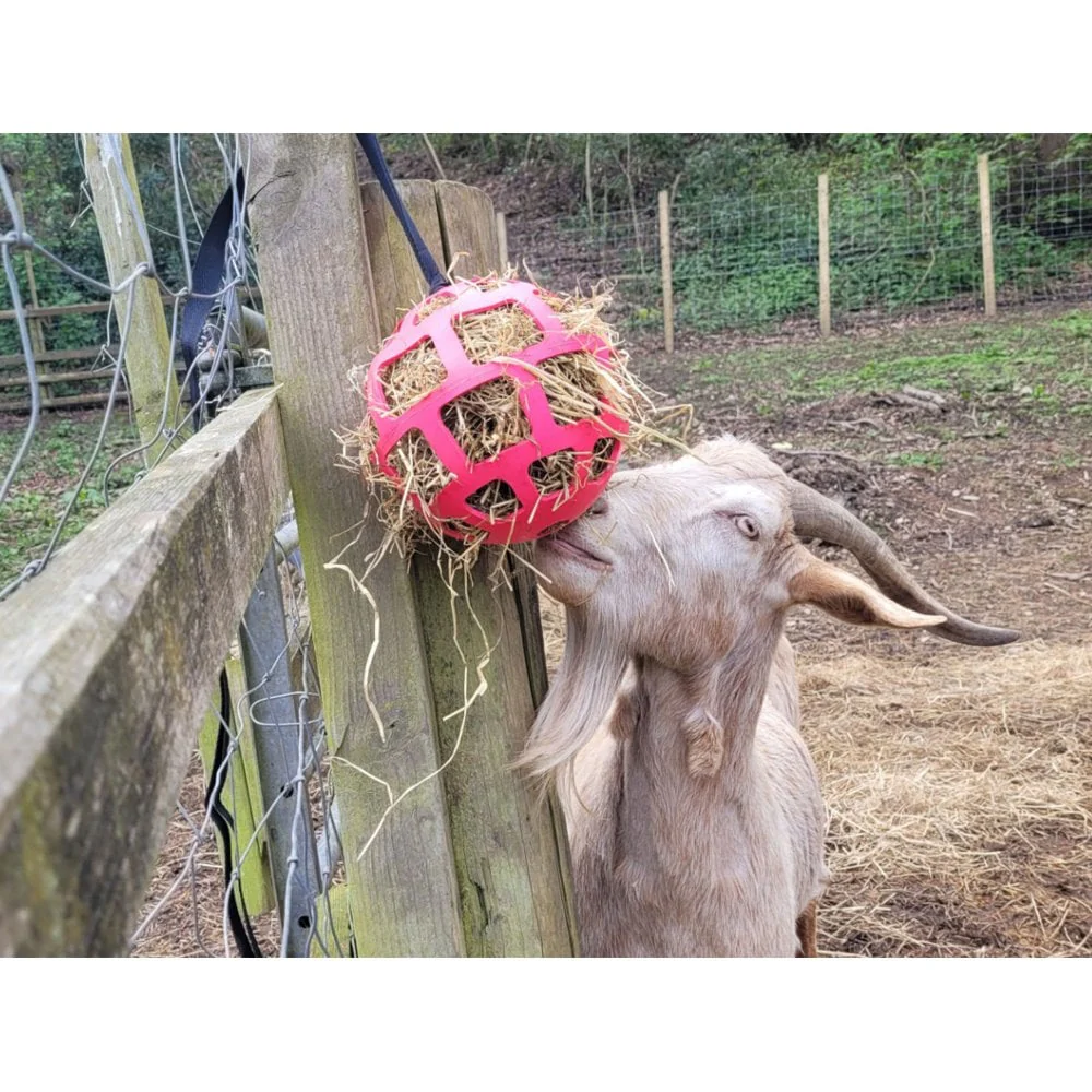 Hay Slow Feeder Fun and Flex 22cm Ball - Image 4