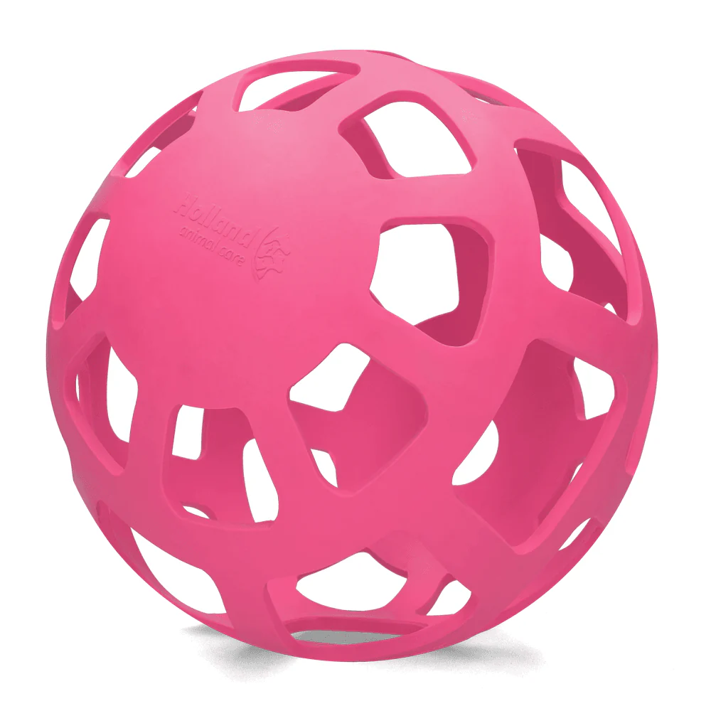 Hay Slow Feeder Fun and Flex 22cm Ball - Image 6
