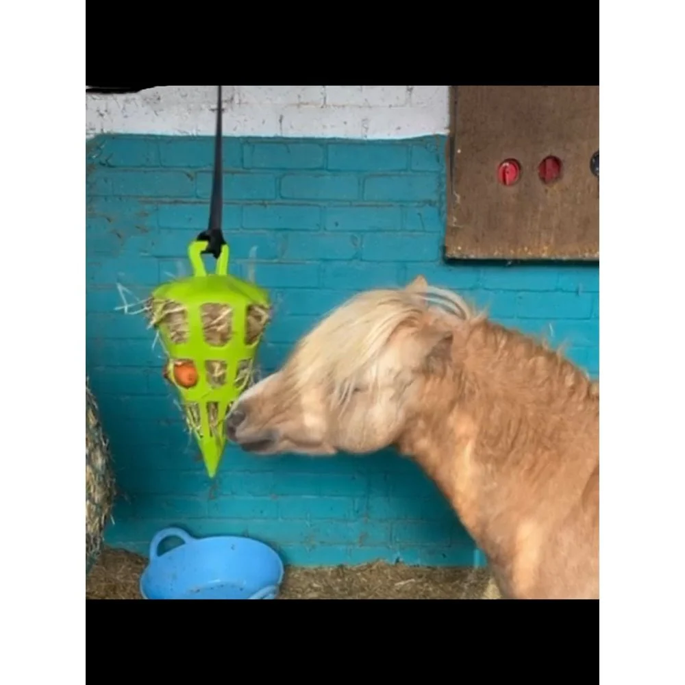 Hay Slow Feeder Fun and Flex Carrot - Image 3