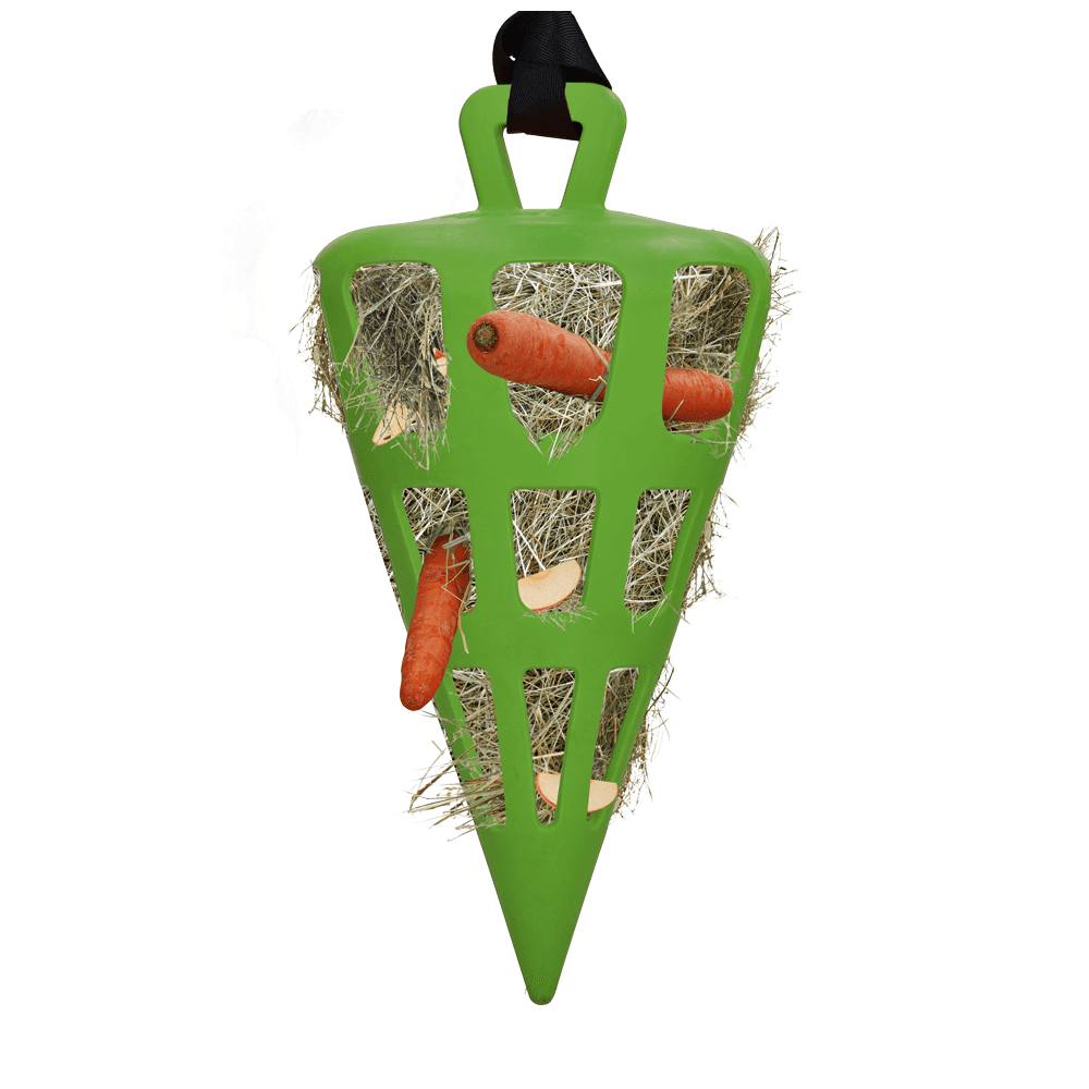 Hay Slow Feeder Fun and Flex Carrot - Image 5