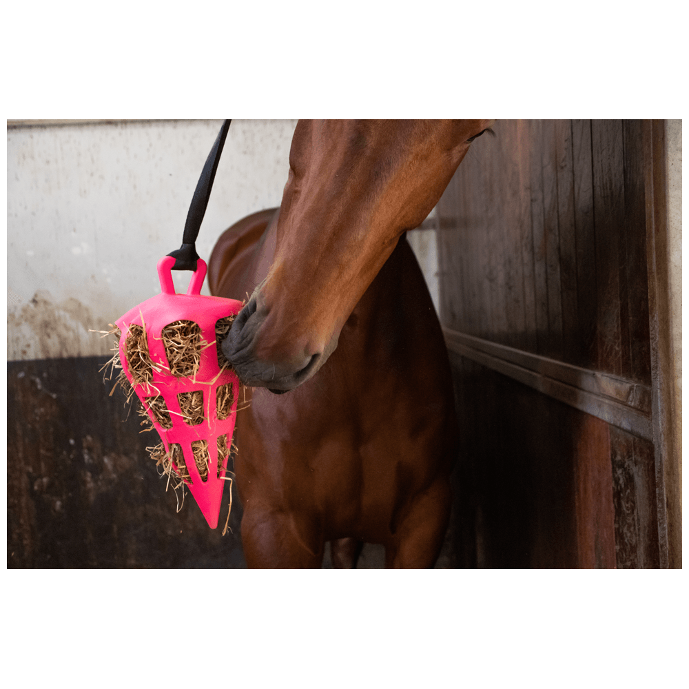 Hay Slow Feeder Fun and Flex Carrot - Image 6