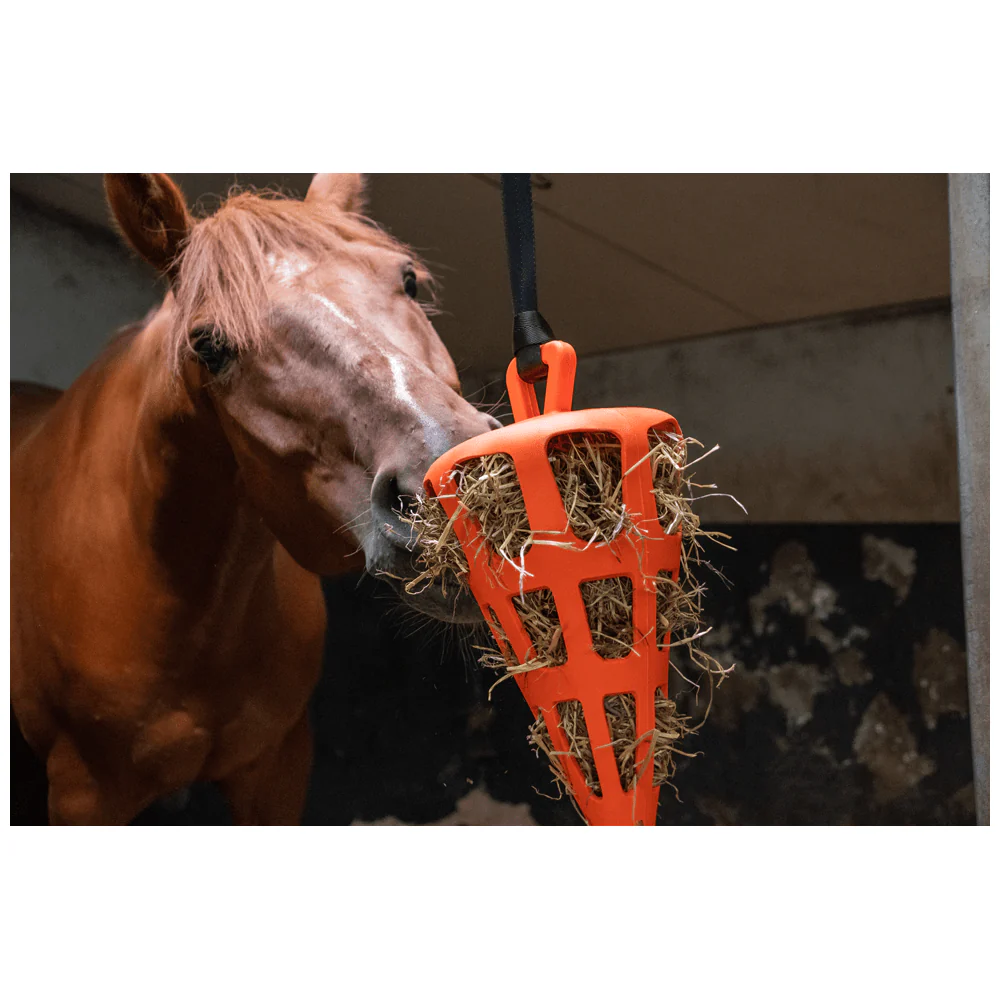 Hay Slow Feeder Fun and Flex Carrot - Image 7
