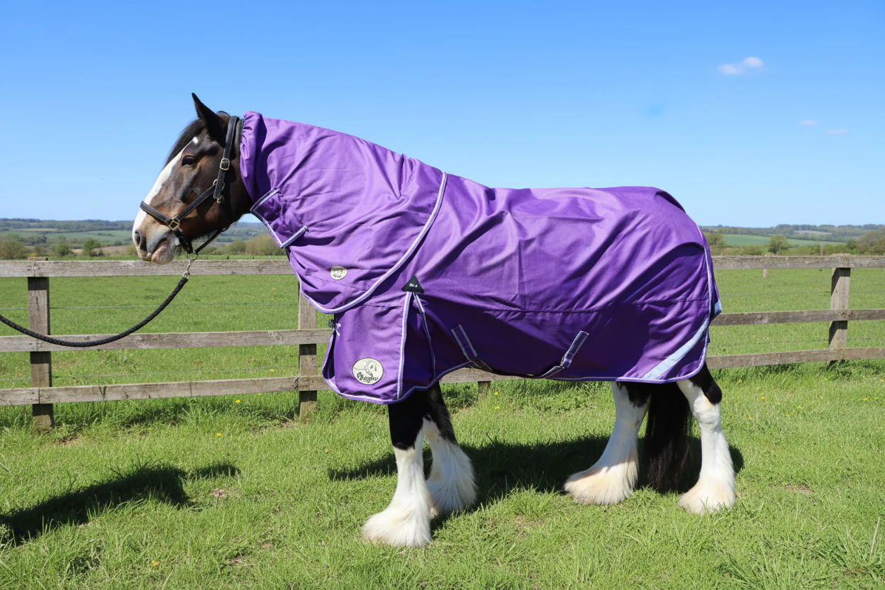 Heavy Horse 50g 1200D V2 Turnout Rug - Image 14