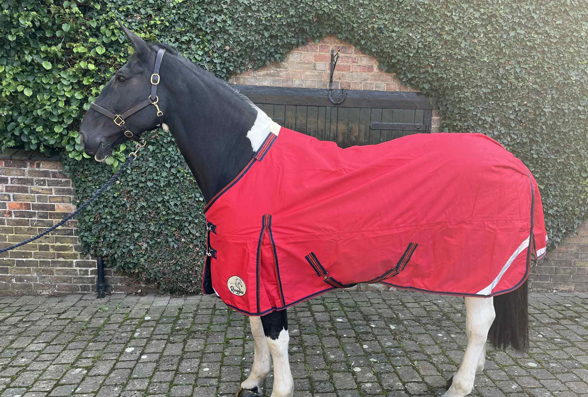 Heavy Horse 50g 1200D V2 Turnout Rug - Image 4