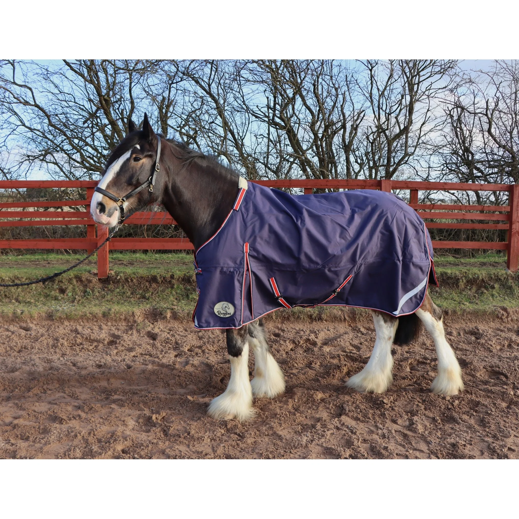 Heavy Horse 50g 1200D V2 Turnout Rug - Image 7