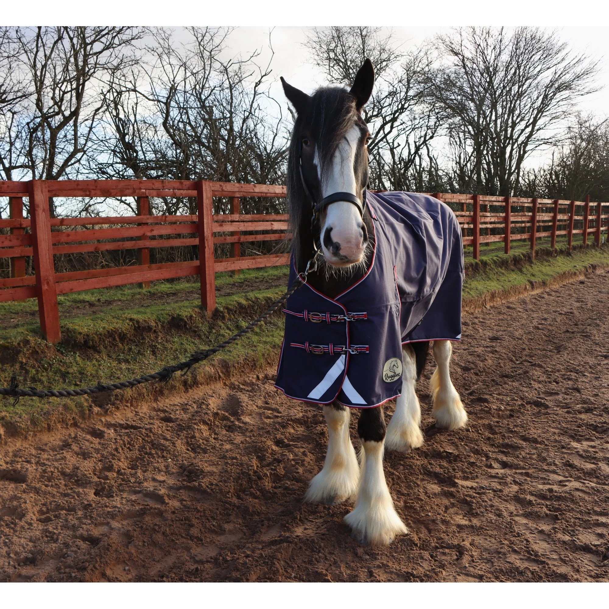 Heavy Horse 50g 1200D V2 Turnout Rug - Image 8