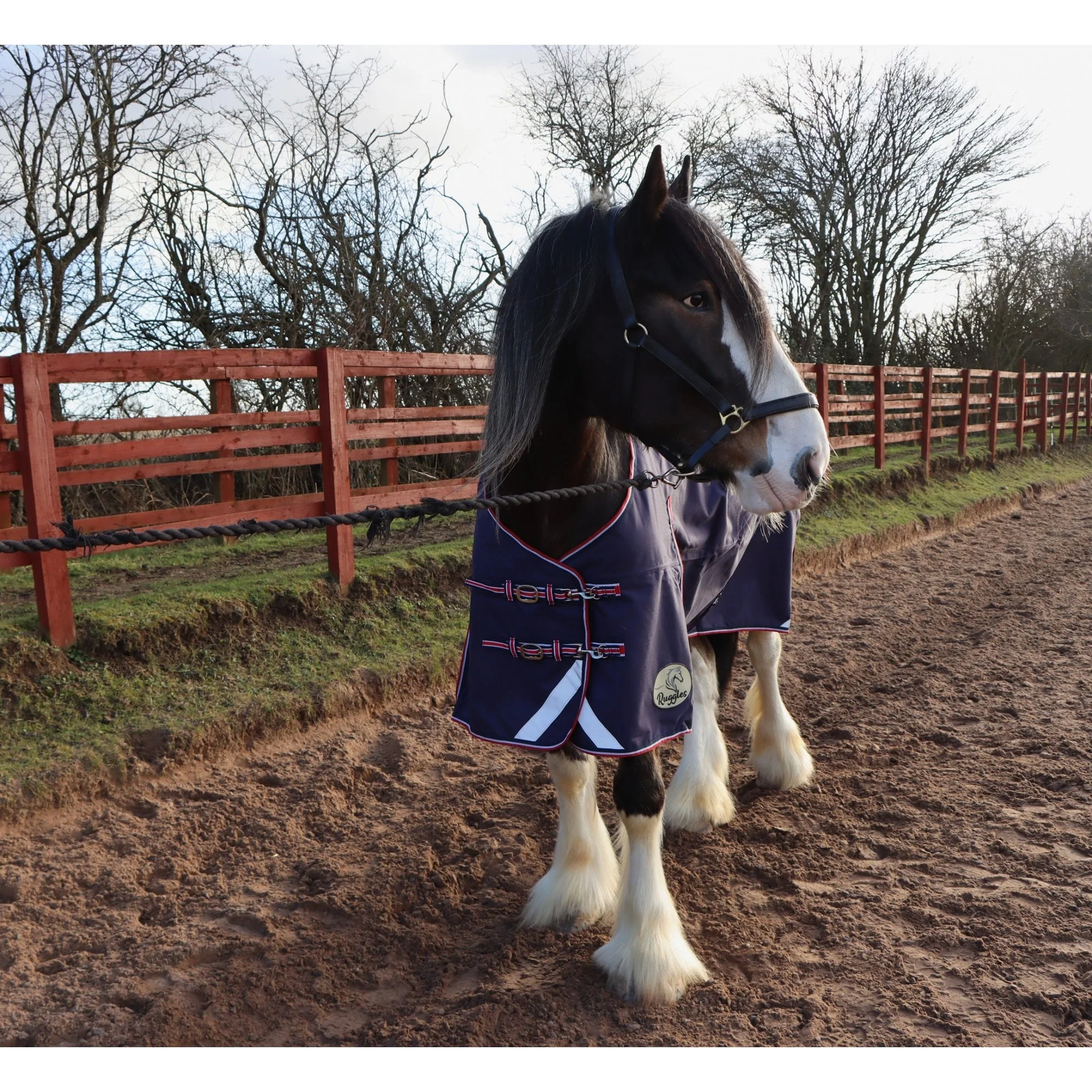 Heavy Horse 50g 1200D V2 Turnout Rug - Image 9