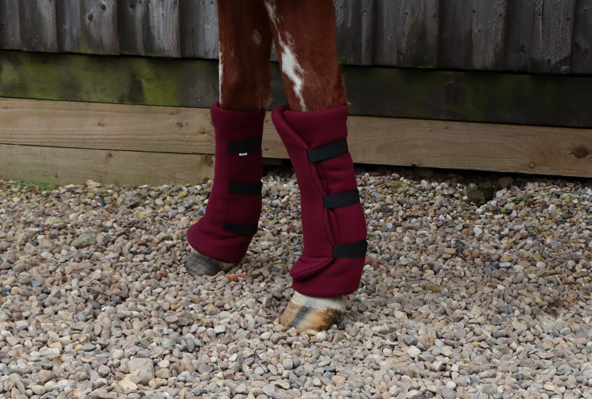 Horse/Pony Fleece Leg Wraps - Set of 4 - Image 6