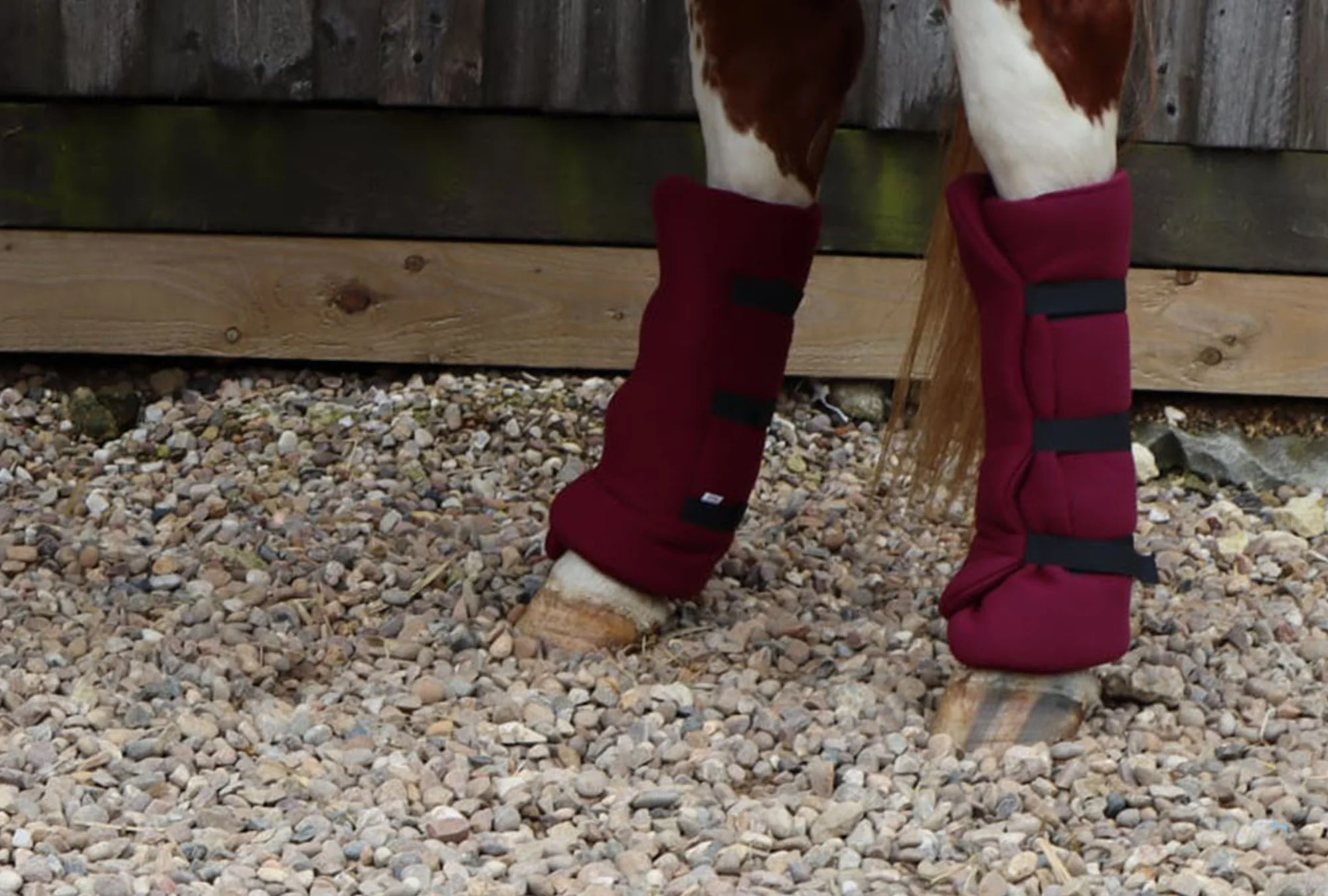 Horse/Pony Fleece Leg Wraps - Set of 4 - Image 7