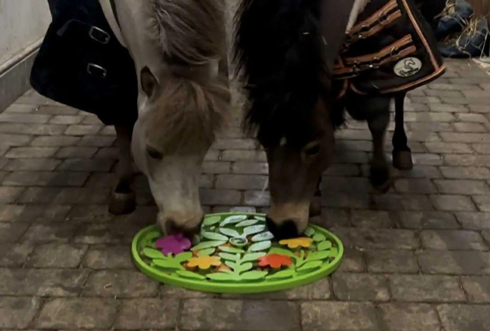 Horse-Pony-Shetland-Donkey Snuffle Treat Mat - Image 11
