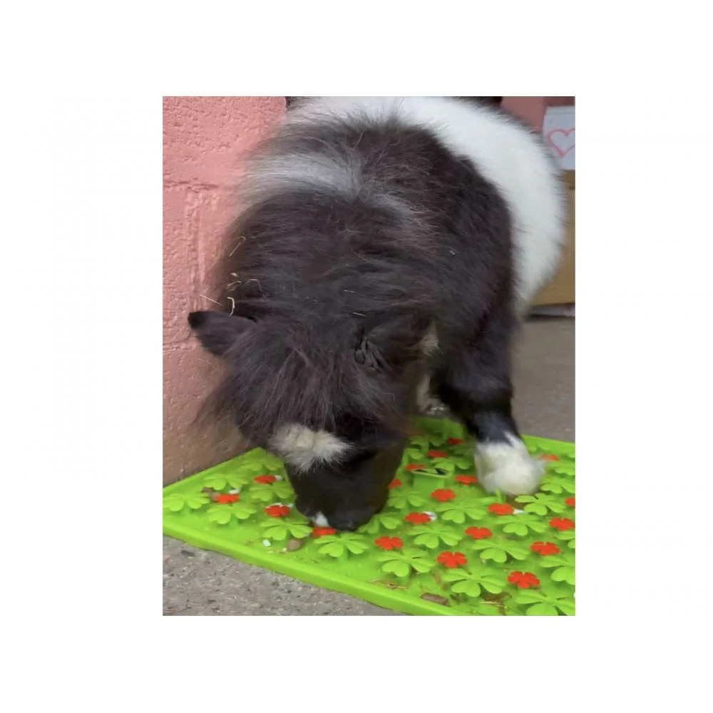 Horse-Pony-Shetland-Donkey Snuffle Treat Mat - Image 3