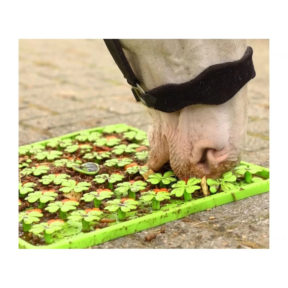Horse-Pony-Shetland-Donkey Snuffle Treat Mat - Image 5