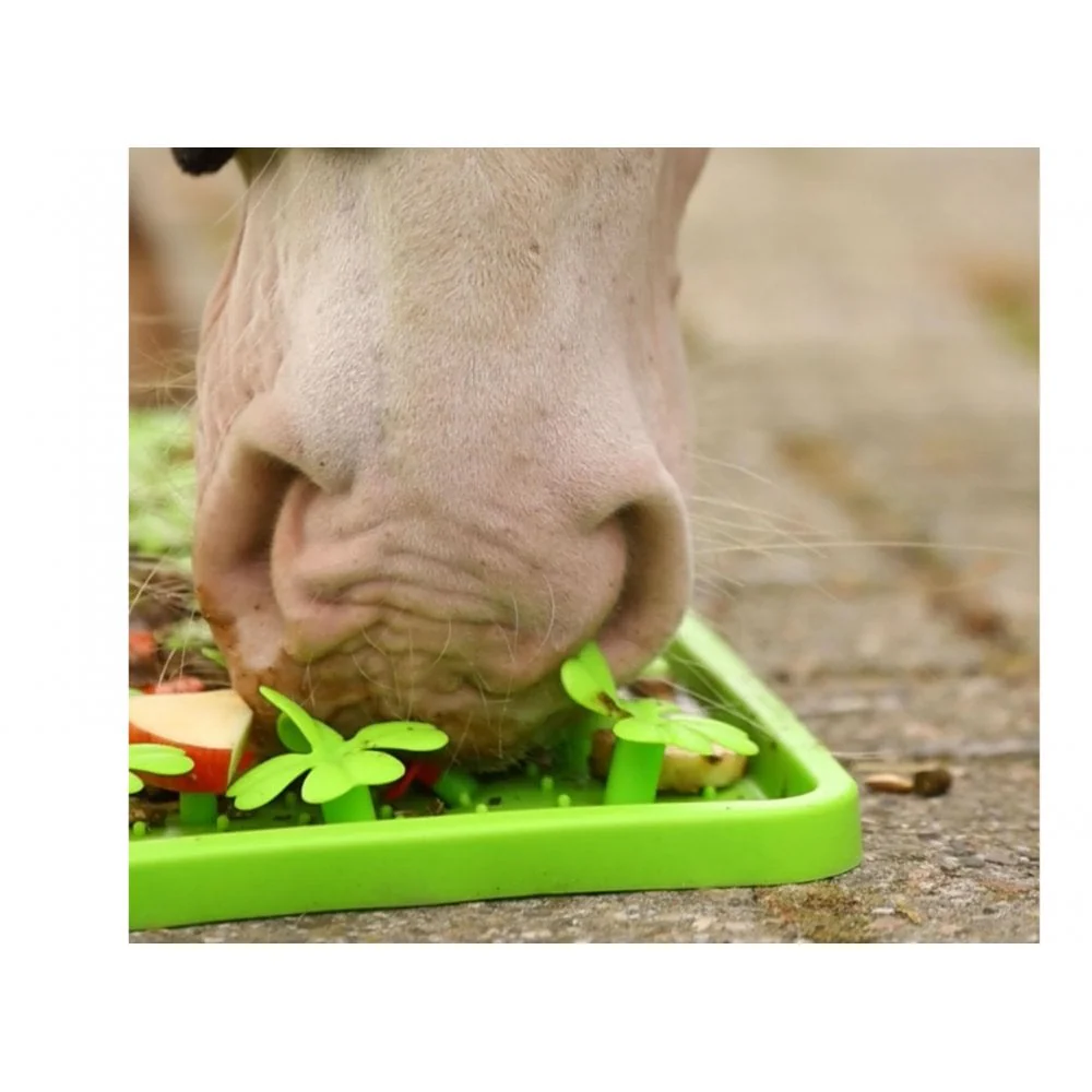 Horse-Pony-Shetland-Donkey Snuffle Treat Mat - Image 6