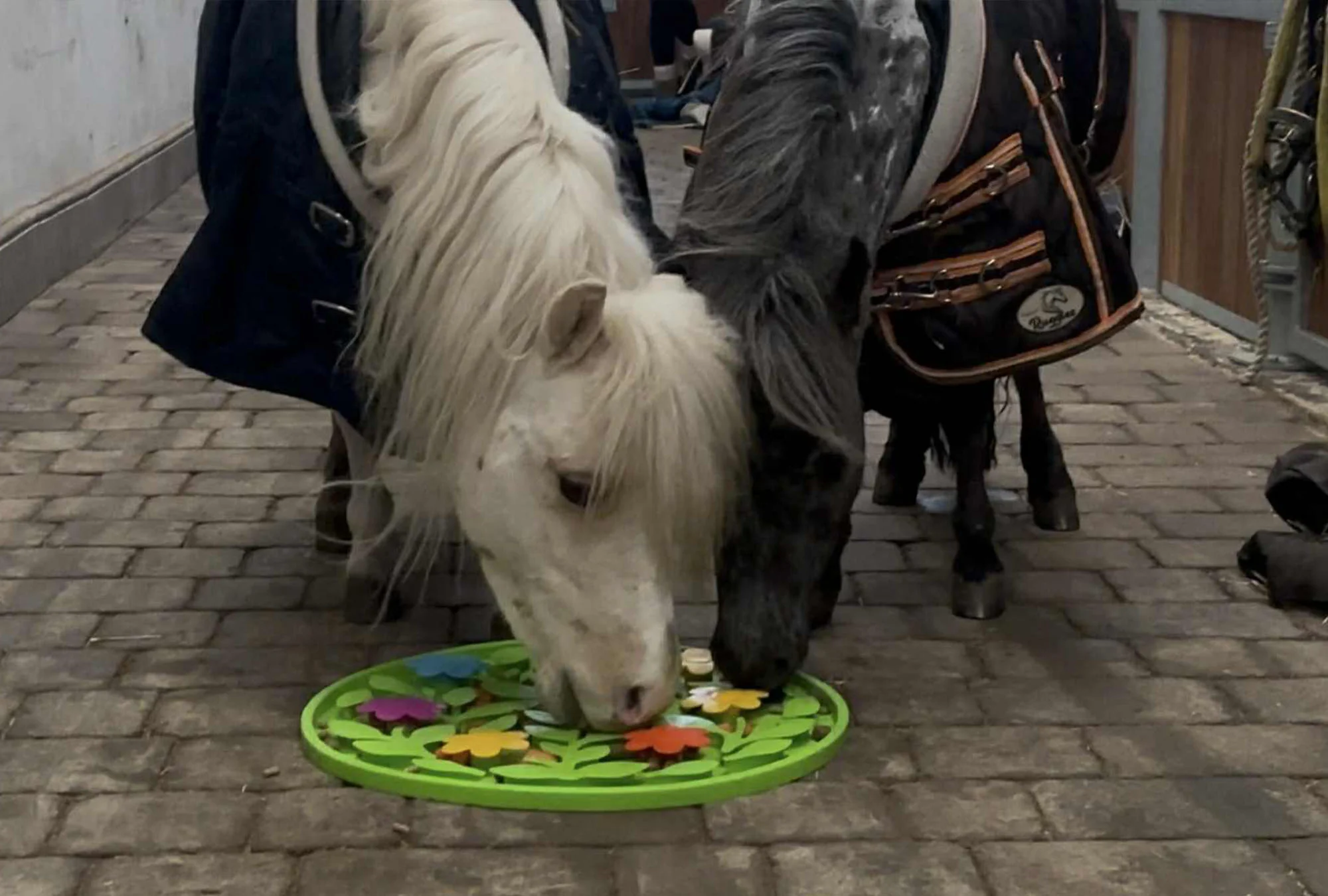 Horse-Pony-Shetland-Donkey Snuffle Treat Mat - Image 8