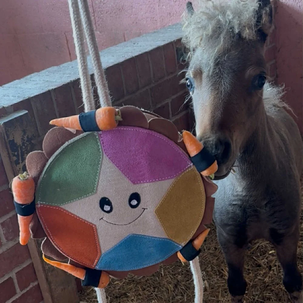 Horse Toy - Carrot Cake - Image 3