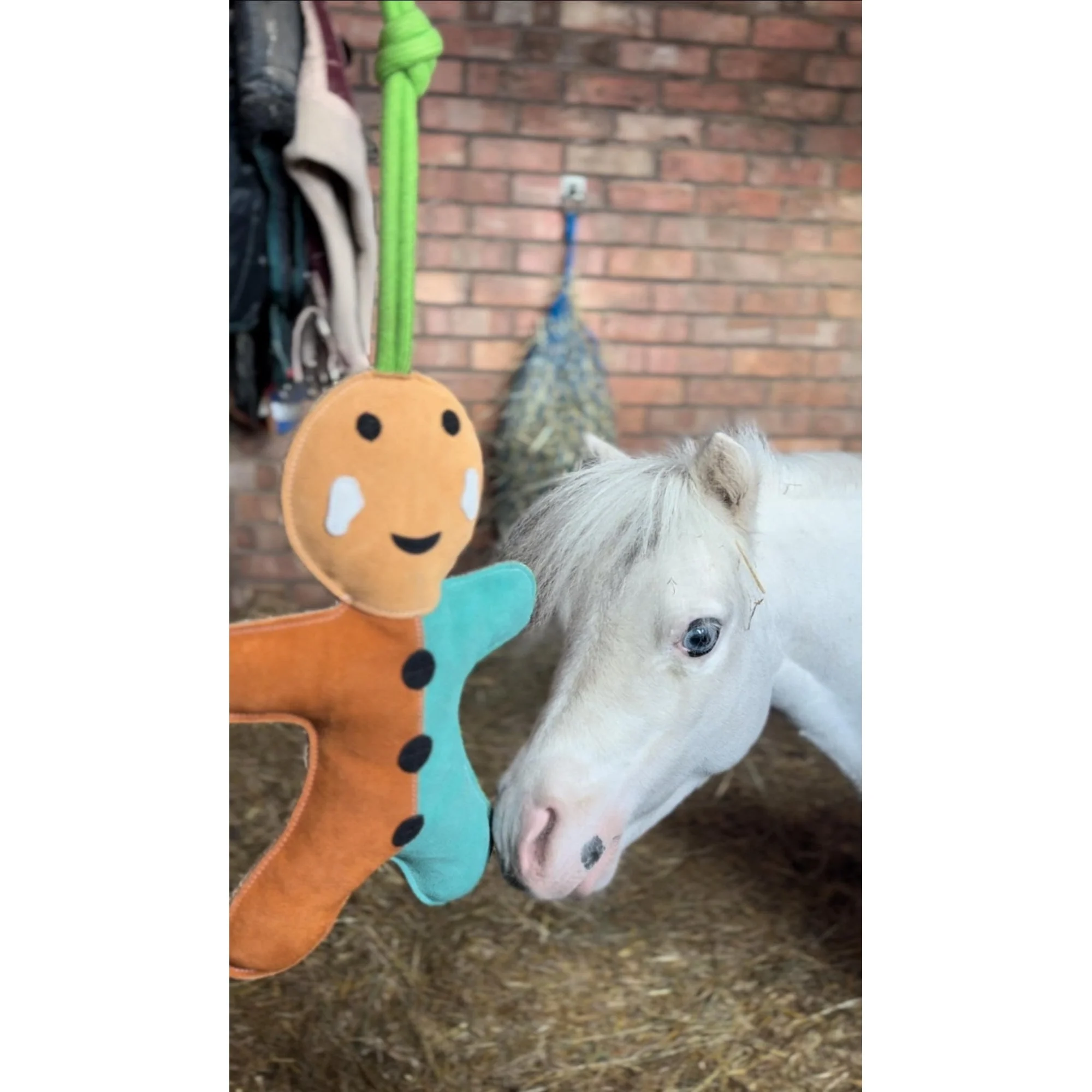 Horse Toy - Gingerbreadman - Image 3