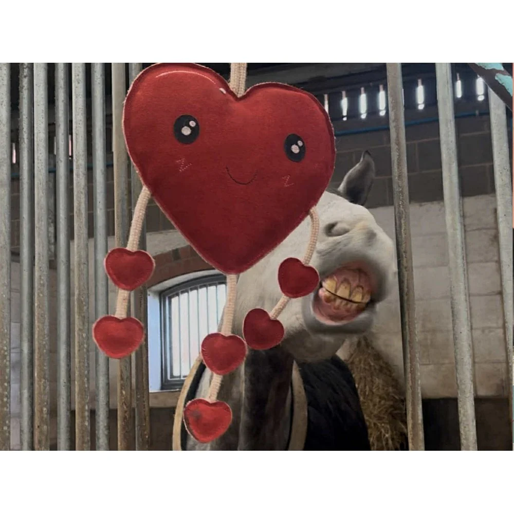 Horse Toy - Heart - Image 2
