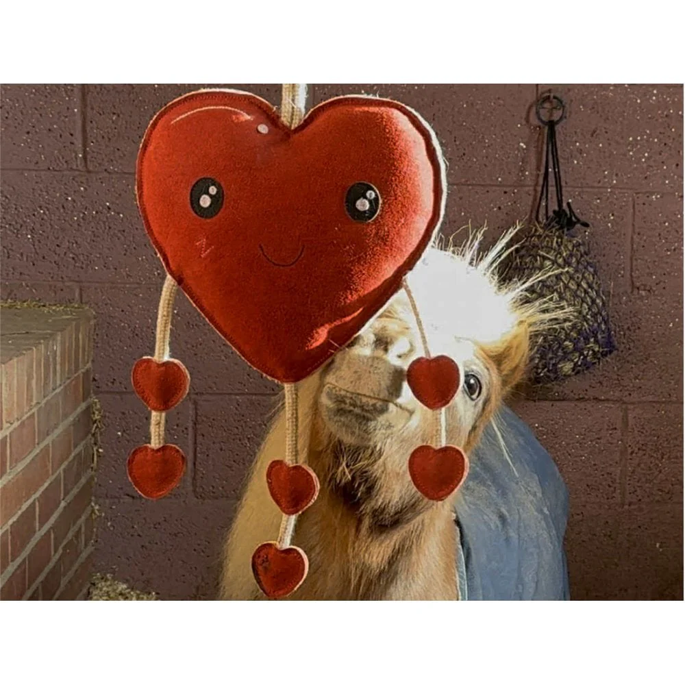 Horse Toy - Heart - Image 5