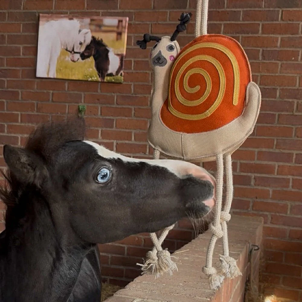 Horse Toy - Sidney Snail - Image 3