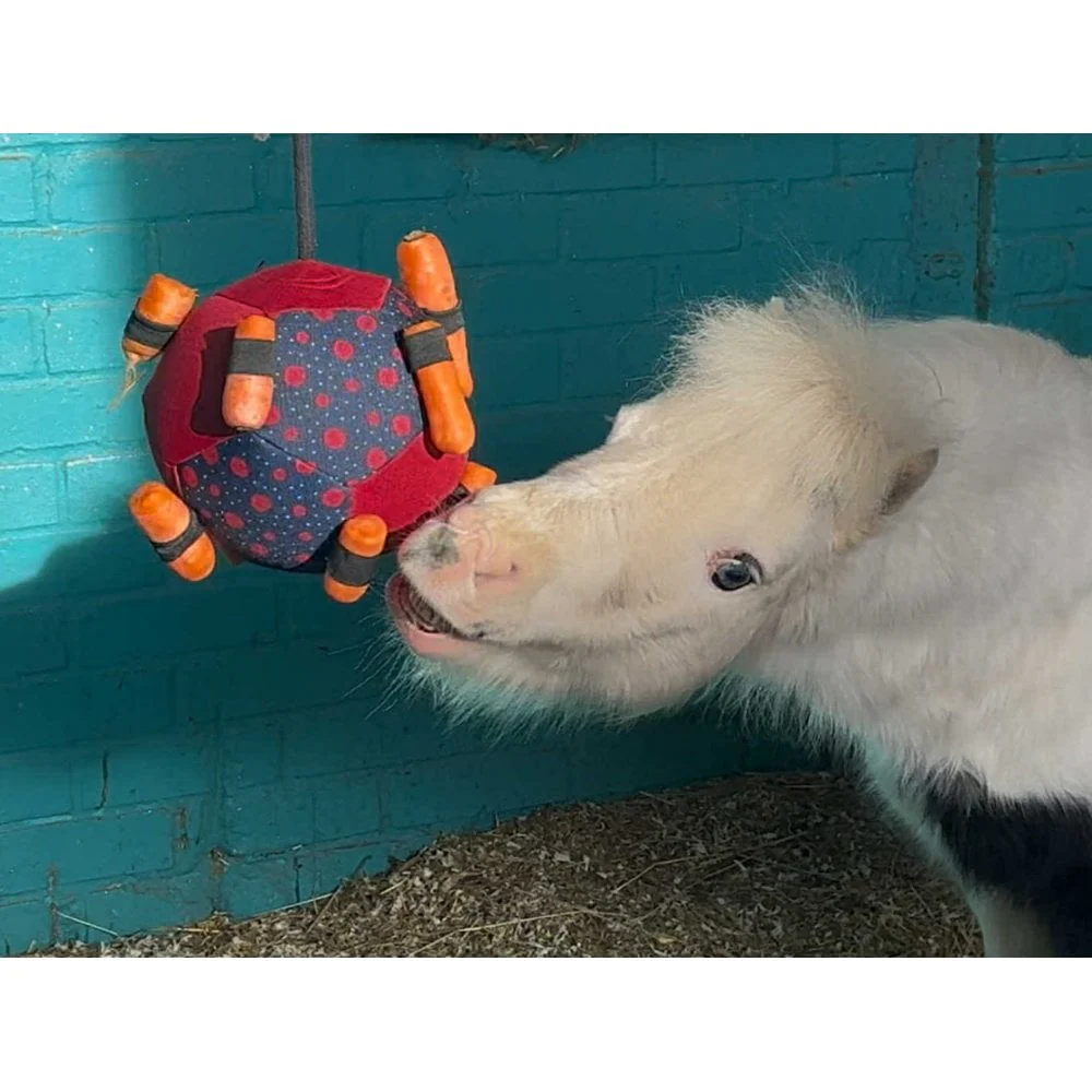 Horse Treat Toy - Football - Image 4