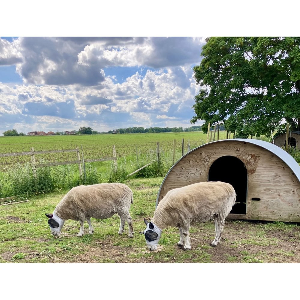 Lycra Pull On Fly Mask With Ears for Alpacas and Sheep - Image 10