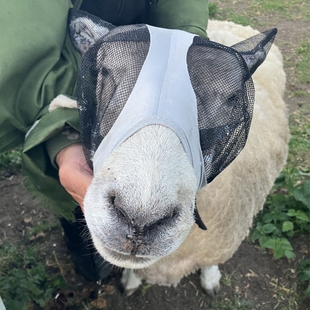 Lycra Pull On Fly Mask With Ears for Alpacas and Sheep - Image 6
