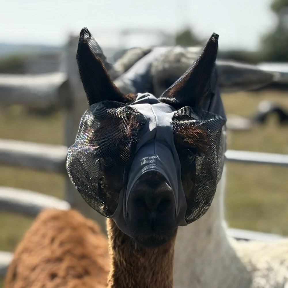 Lycra Pull On Fly Mask With Ears for Alpacas and Sheep - Image 8