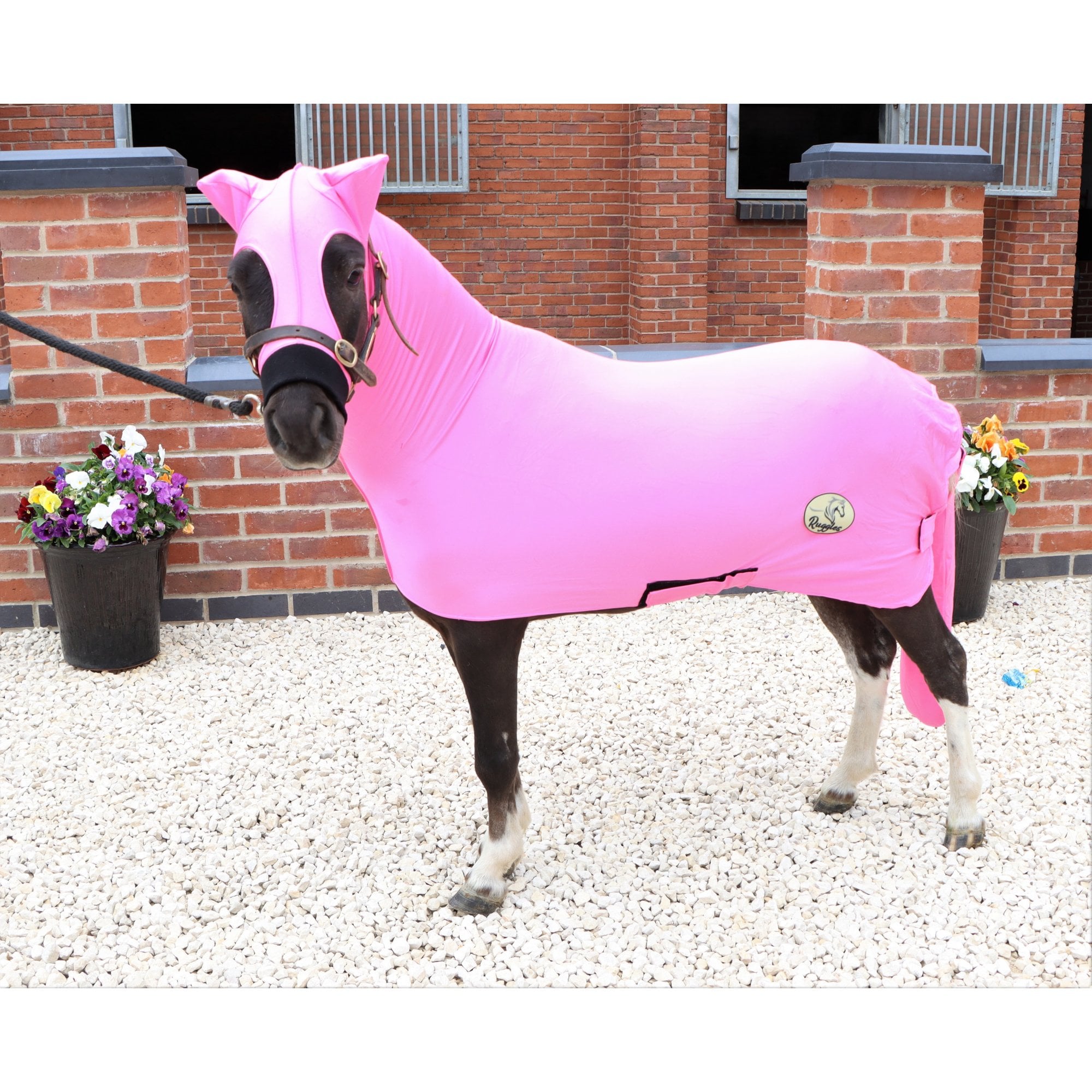 Miniature Horse Lycra Body Suit With Tail Cover - Image 4