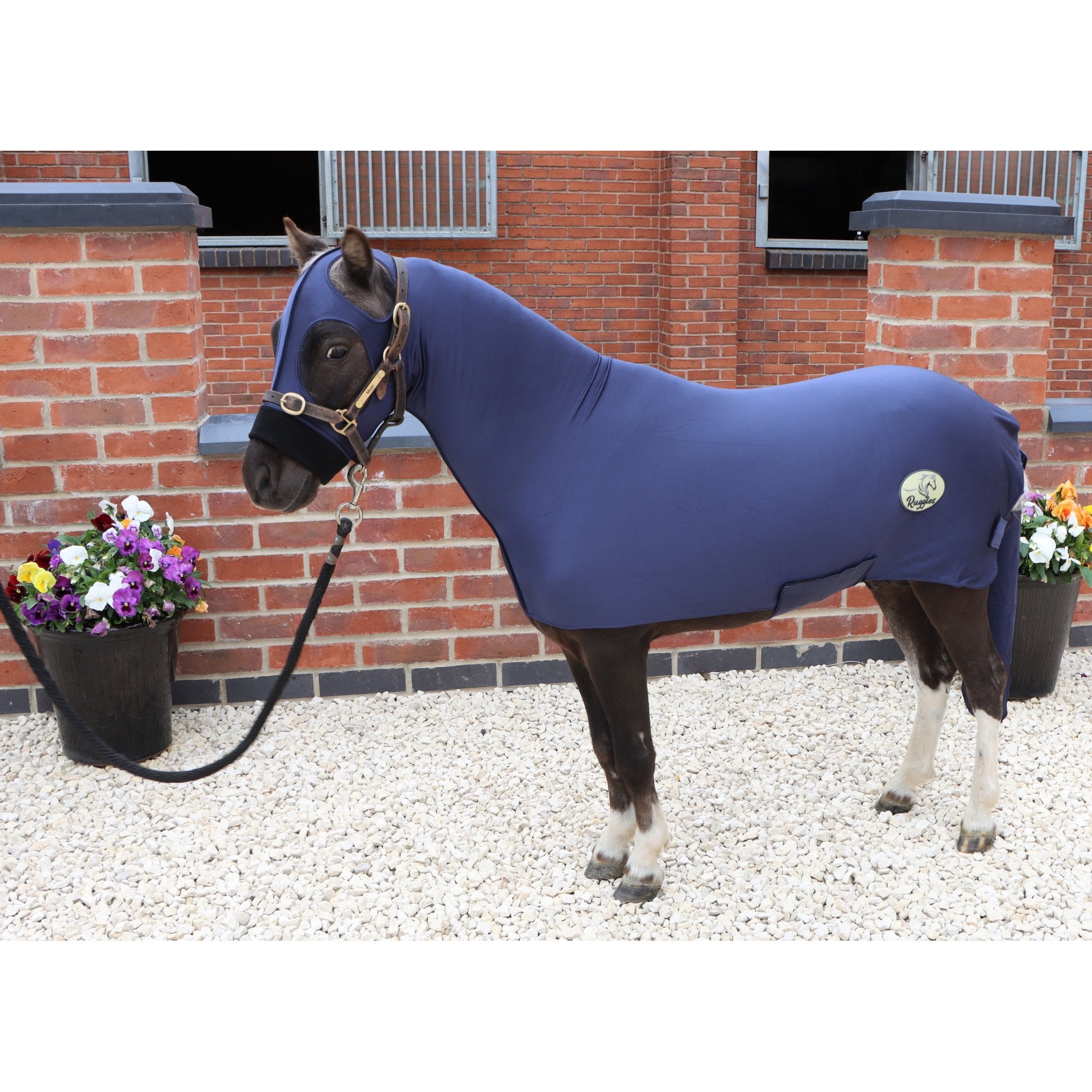 Miniature Horse Lycra Body Suit With Tail Cover - Image 7