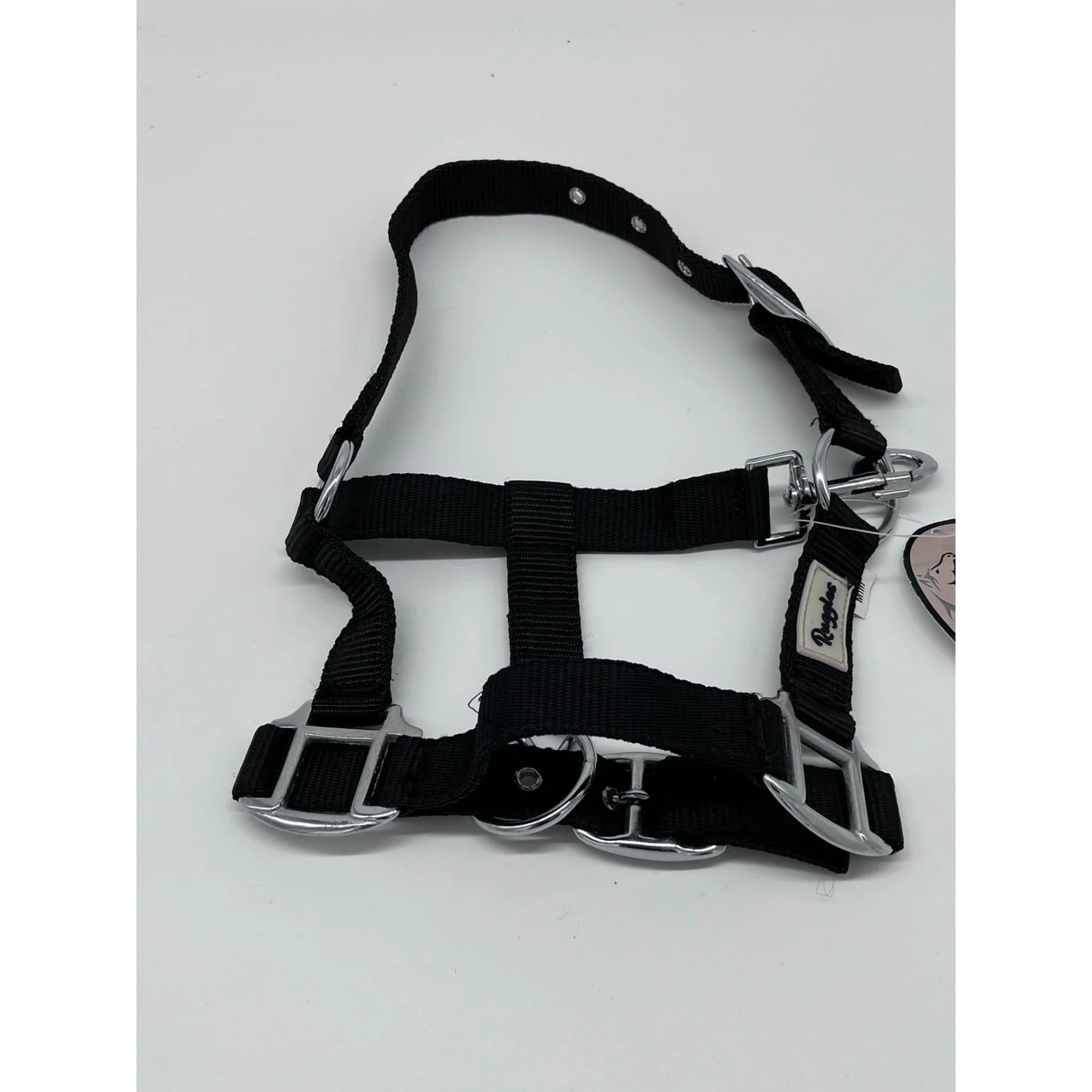 Shetland And Mini Adjustable Head Collar - 1" Webbing - Image 7