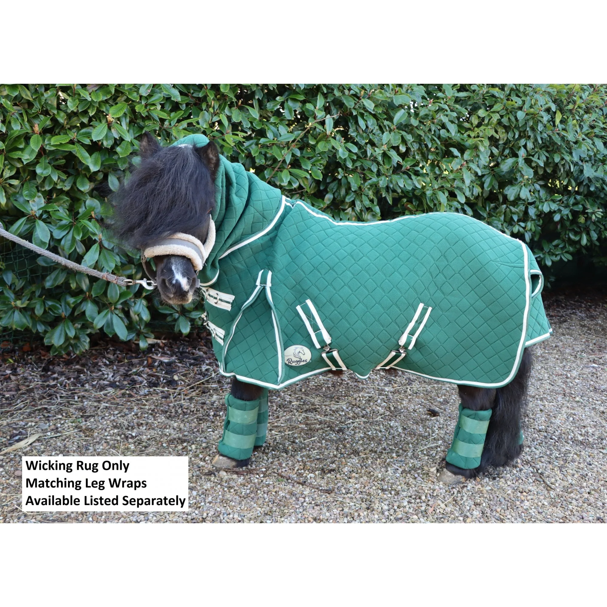 Shetland-Miniature-Donkey Combo Wicking Rug - Image 6