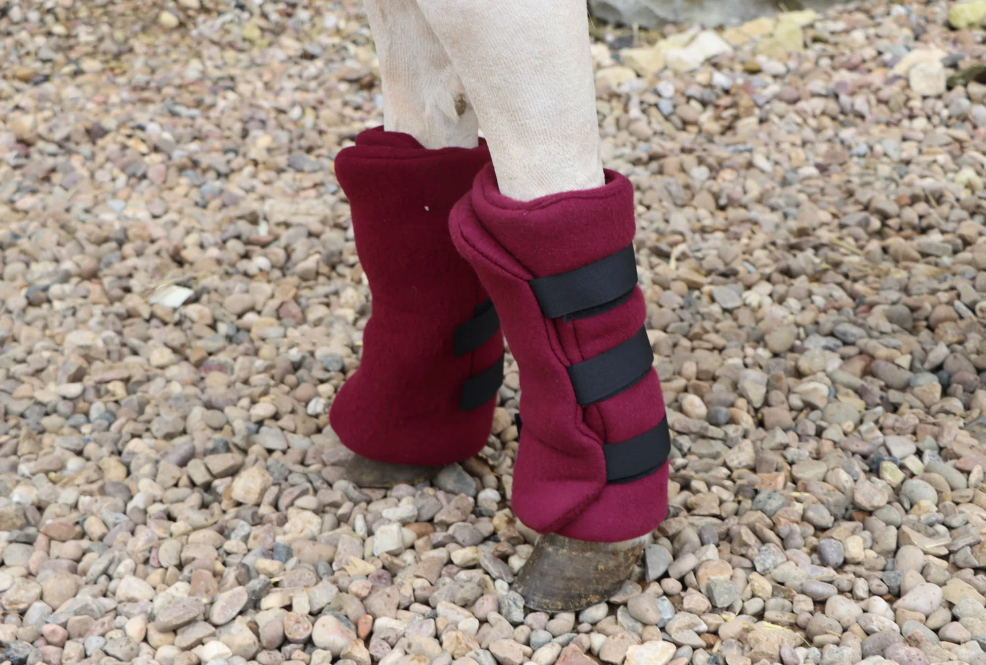Shetland-Miniature-Donkey Fleece Leg Wraps - Set of 4 - Image 7