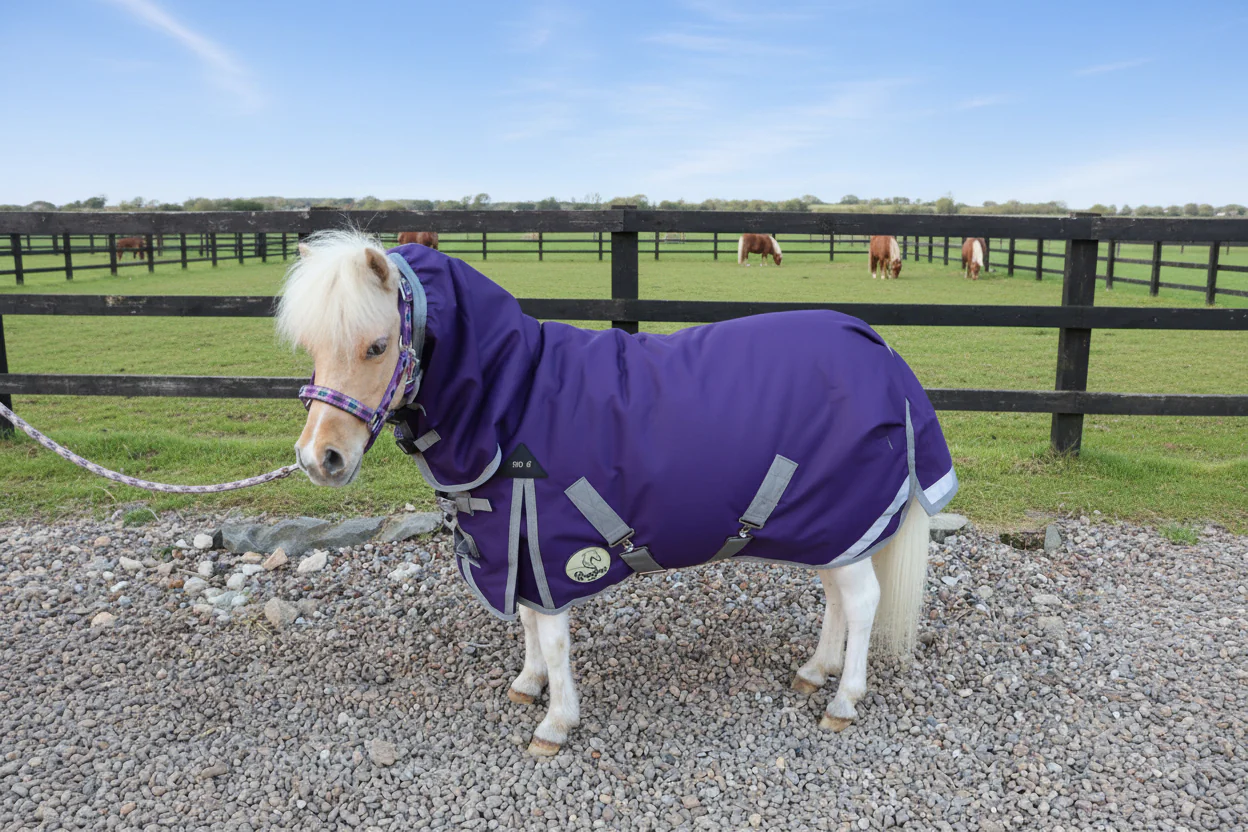 Shetland-Miniature-Donkey-Section A 100g Combo Turnout Rug - Image 4