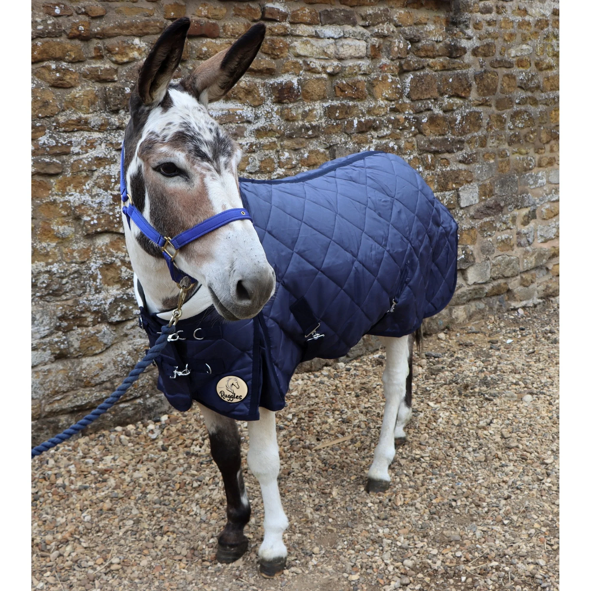 Shetland-Miniature-Donkey-Section A 200g Stable Rug With Collar - Image 3
