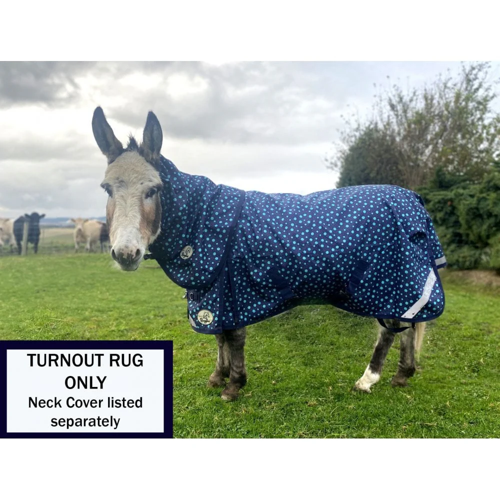 Shetland-Miniature-Donkey-Section A V2 Lightweight No Fill Turnout Rug - Image 6