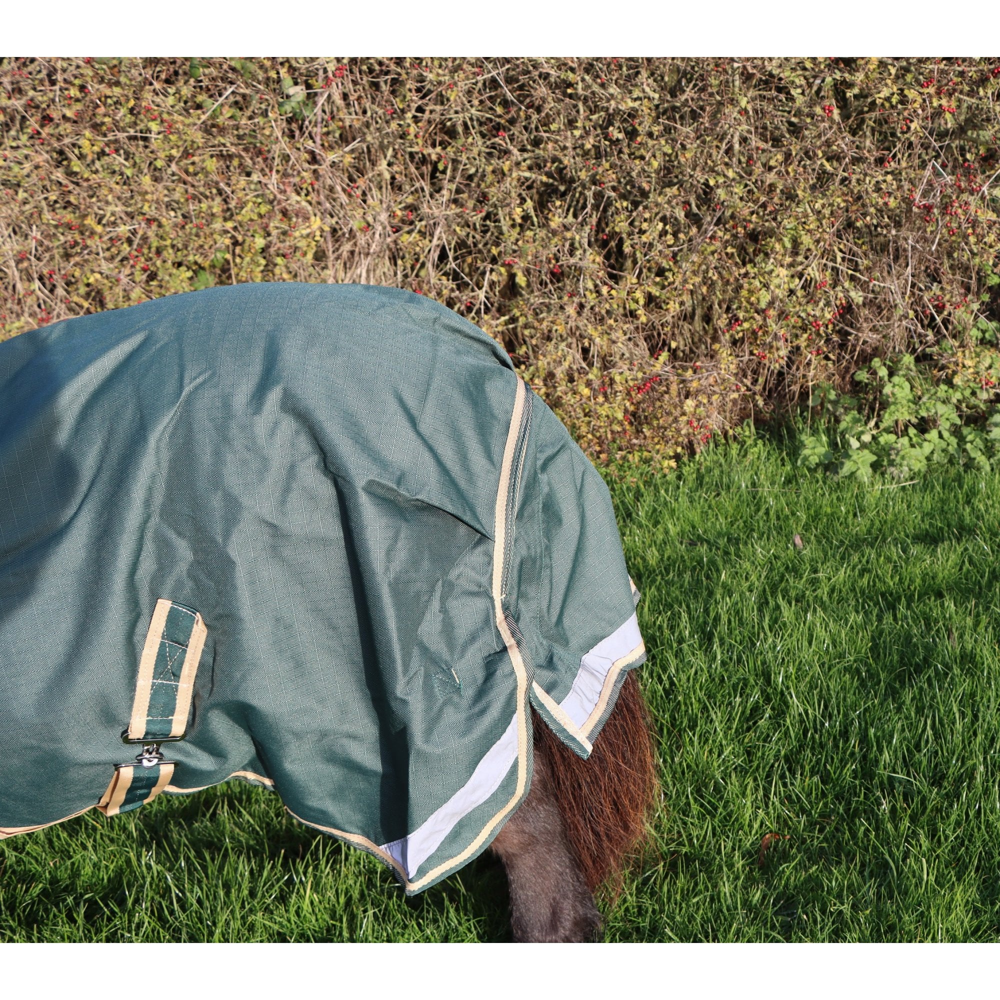 Shetland-Miniature-Donkey-Section A V2 Lightweight No Fill Turnout Rug - Image 9