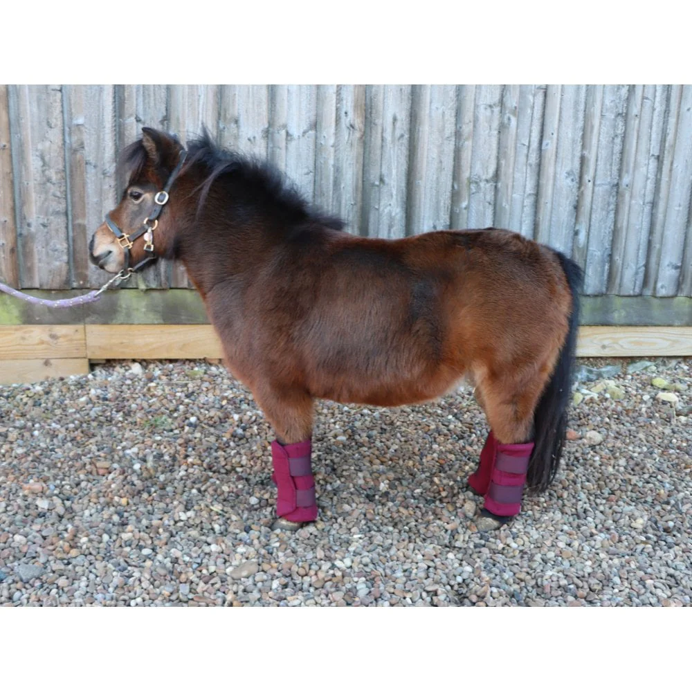 Shetland-Miniature-Donkey Triple Layer Wicking Leg Wrap Set - Burgundy - Image 5