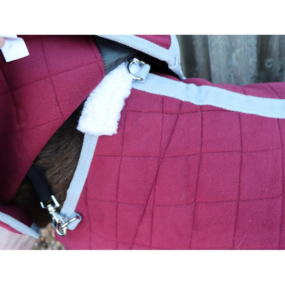 Shetland-Miniature-Donkey Triple Layer Wicking Rug With Detachable Neck - Image 6