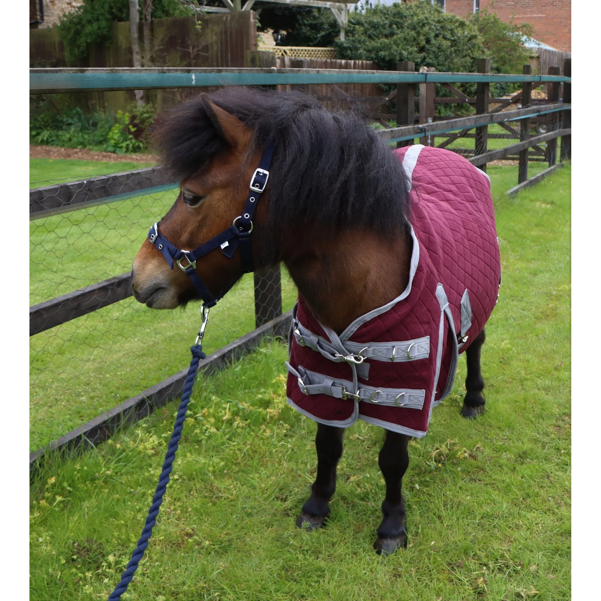 Shetland-Miniature-Donkey Triple Layer Wicking Rug - Image 6