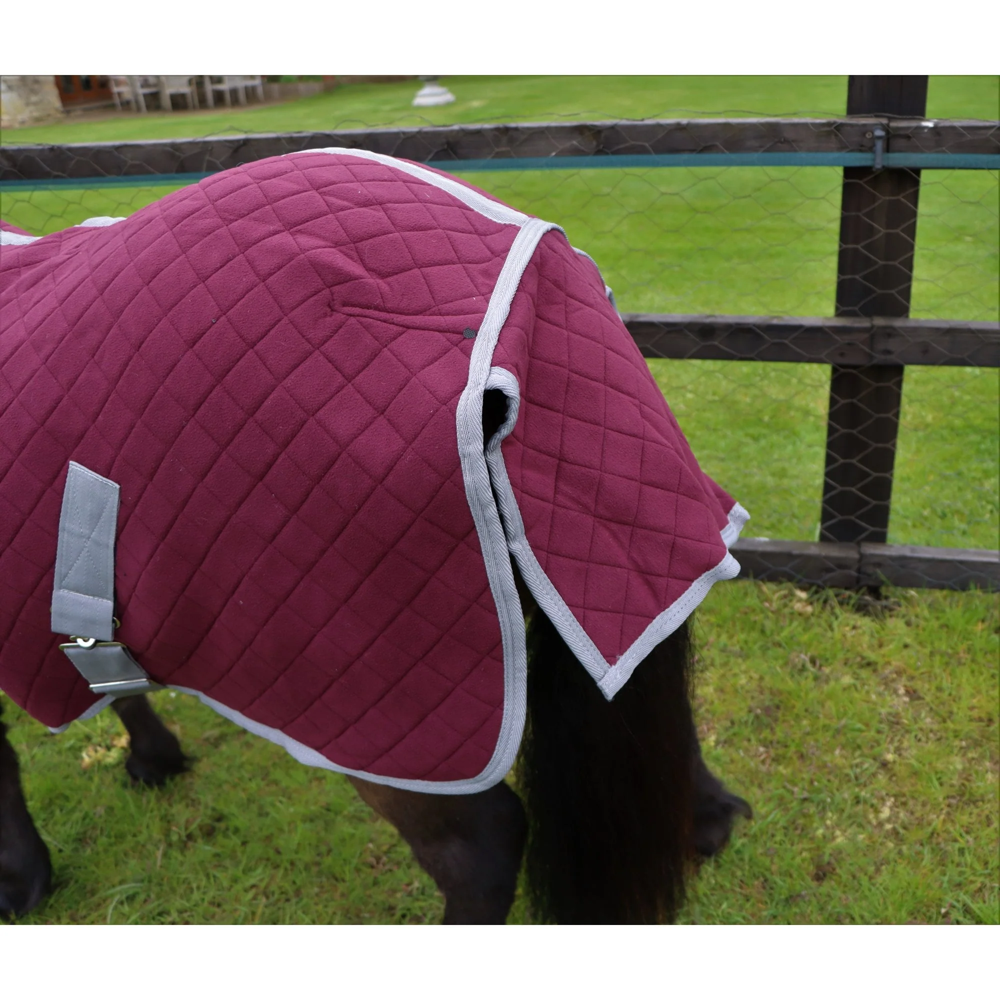 Shetland-Miniature-Donkey Triple Layer Wicking Rug - Image 7