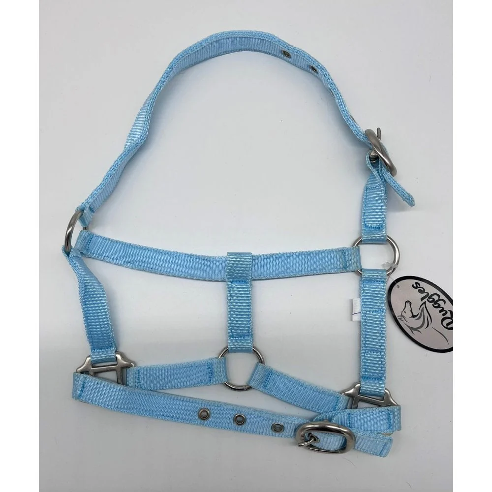 Shetland-Miniature Head Collar 3/4" Webbing - Image 6