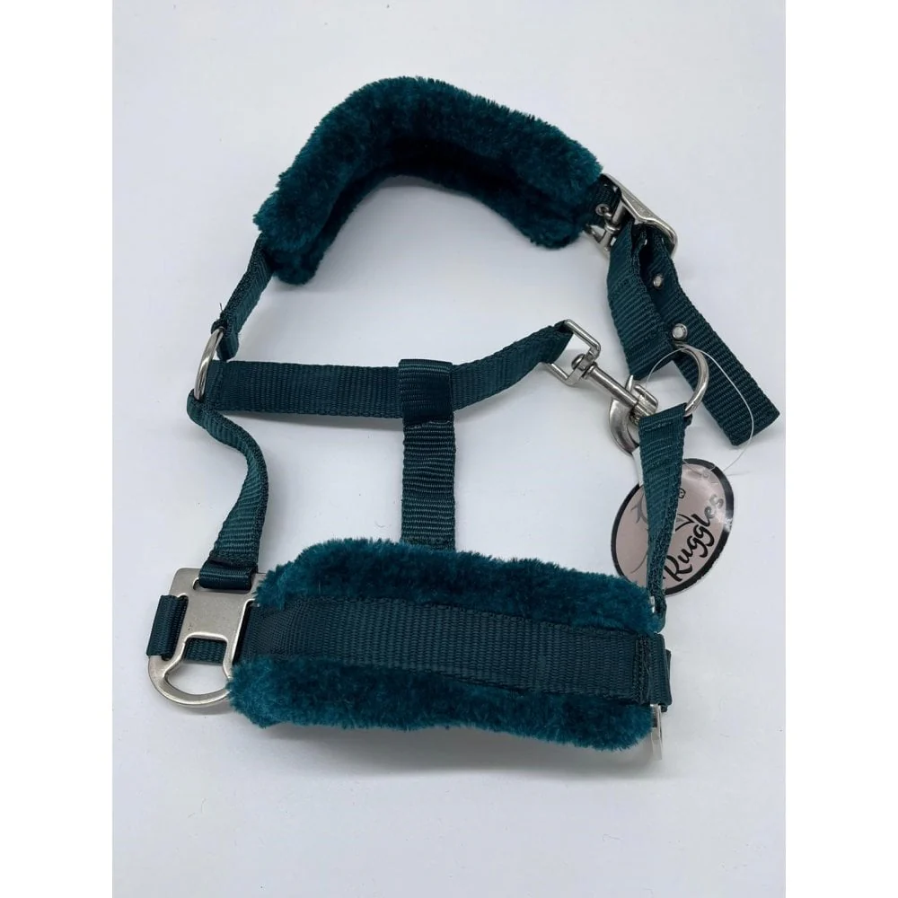 Shetland-Miniature Head Collar With Matching Fur - Image 3