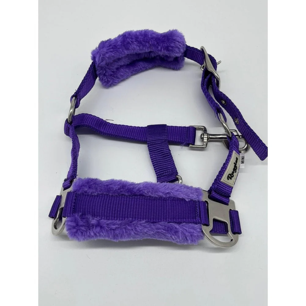 Shetland-Miniature Head Collar With Matching Fur - Image 4