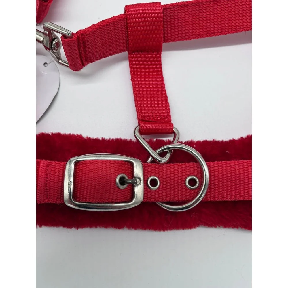 Shetland-Miniature Head Collar With Matching Fur - Image 5